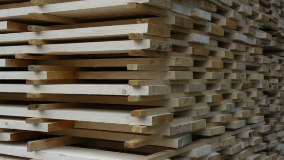 Segezha Group построит на Сахалине завод по обработке дерева