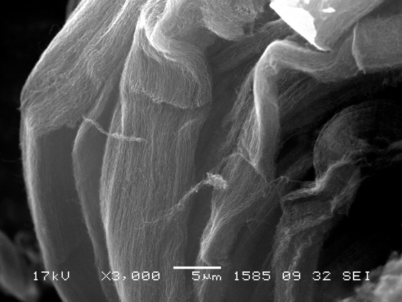 Ученые улучшают свойства бетонов с помощью импортозамещающих нанотрубок
