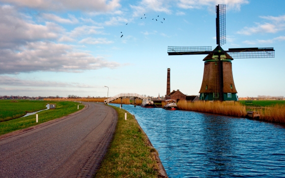 В Голландии создают <br />
асфальт на основе <br />
лигнина