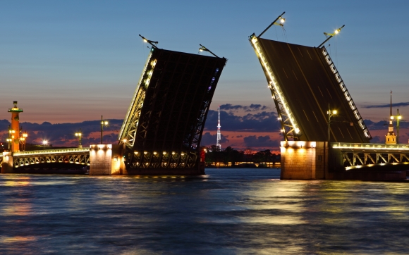 Петербург предпочел Николая Кутьина