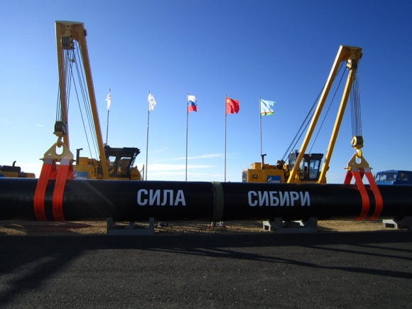 Микрокомпания из Томска с допуском СРО-банкрота получила контракты на 8 млрд руб