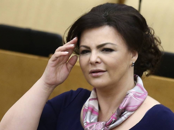 Елена Николаева нашла в Жилищном и Градостроительном кодексах «длинную руку Госдепа»